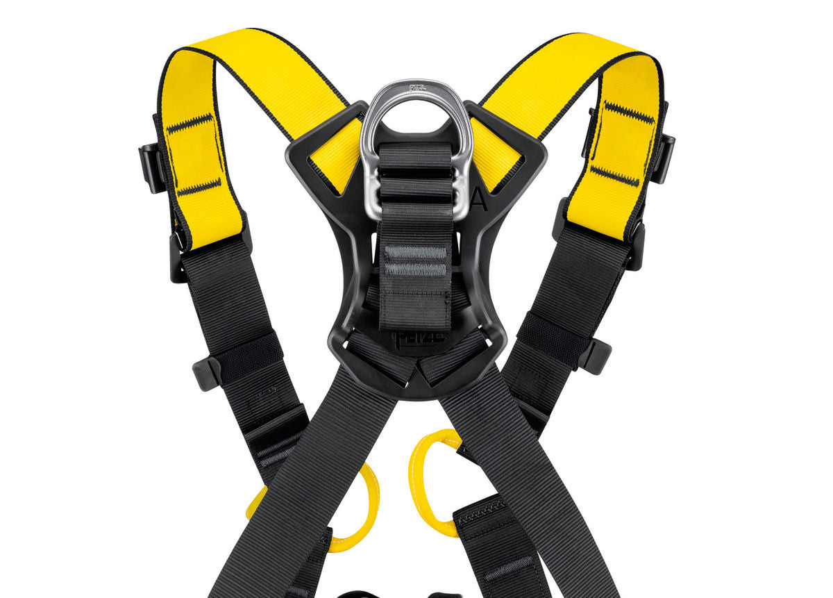 Petzl Newton International full body harness