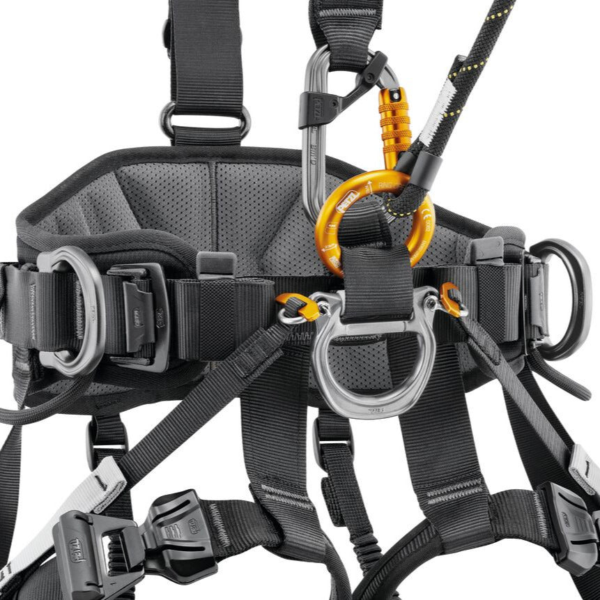 Petzl AVAO BOD FAST Full Body Harness