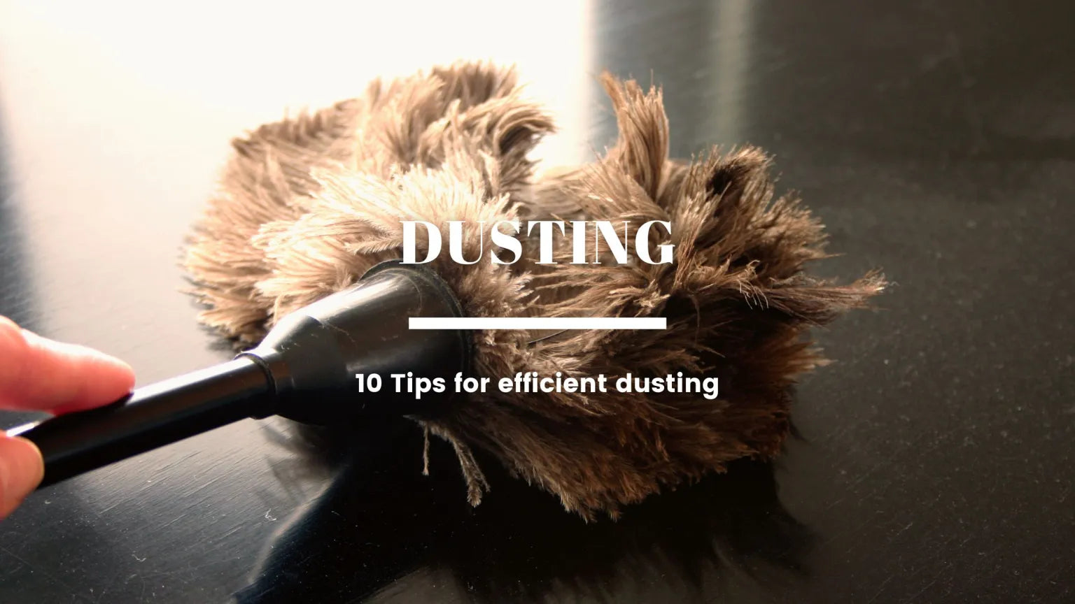 The Best Effective and Efficient Dusting Tips – Detroit Sponge