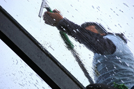 professional window cleaner