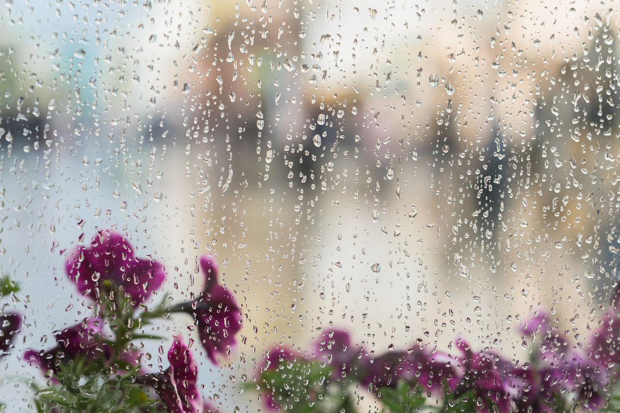 Clean Raining On Window Can You Clean Windows in the Rain? | Detroit Sponge Blog