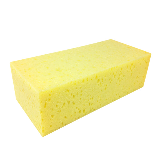 Ettore Sponge