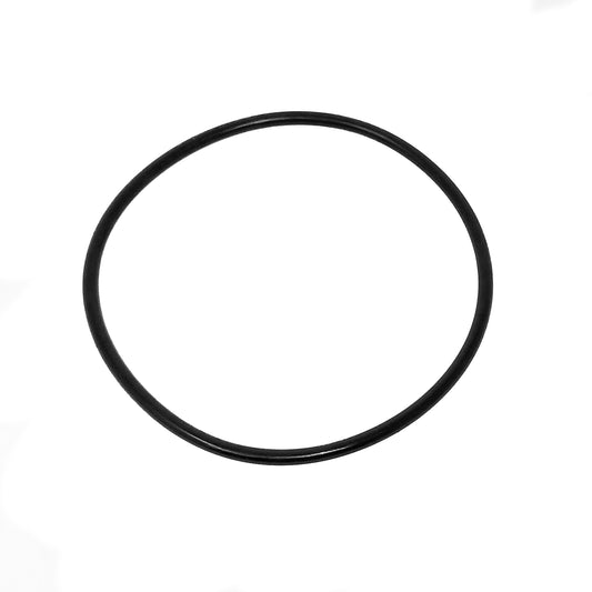 Large O Ring for DI Cannister