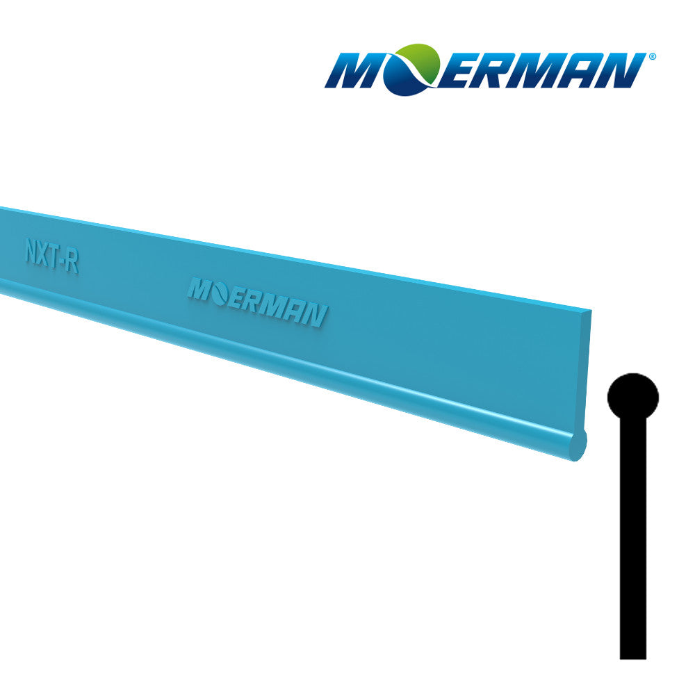 Moerman – Detroit Sponge