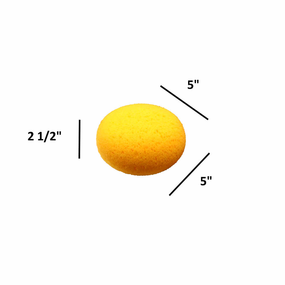 Sso Sponge Sponges – Detroit Sponge